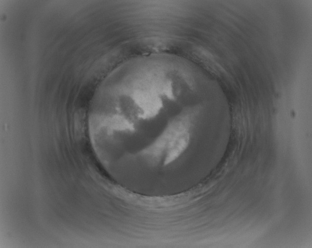 X0000077360030200611031857