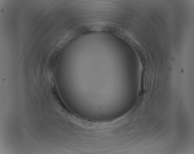 X0000077360031200611031857