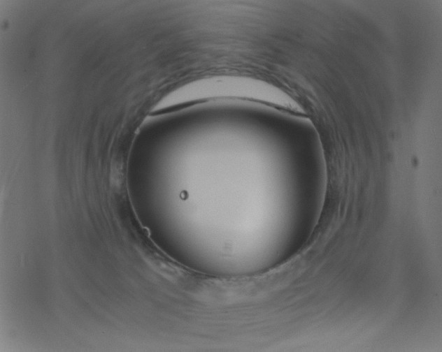 X0000077360033200611031857