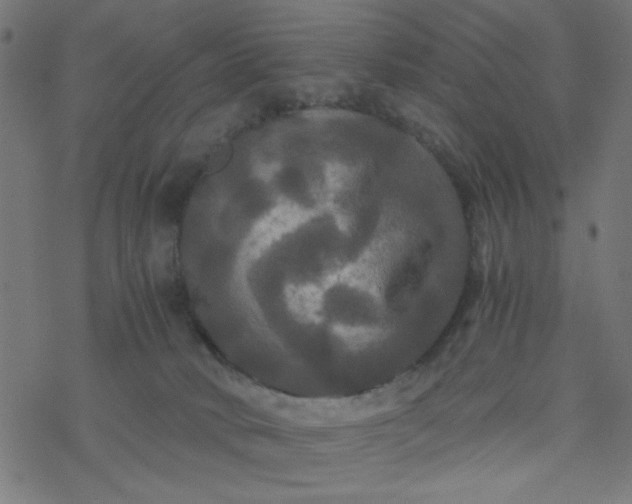 X0000077360034200611031857