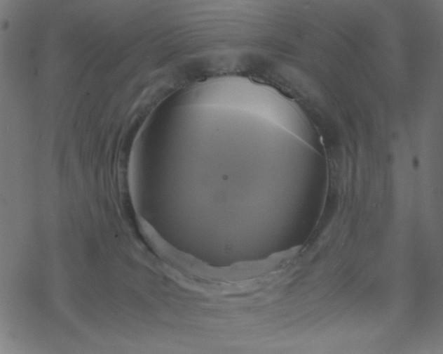 X0000077360035200611031857