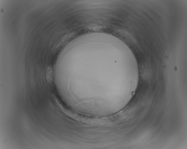 X0000077360036200611031857