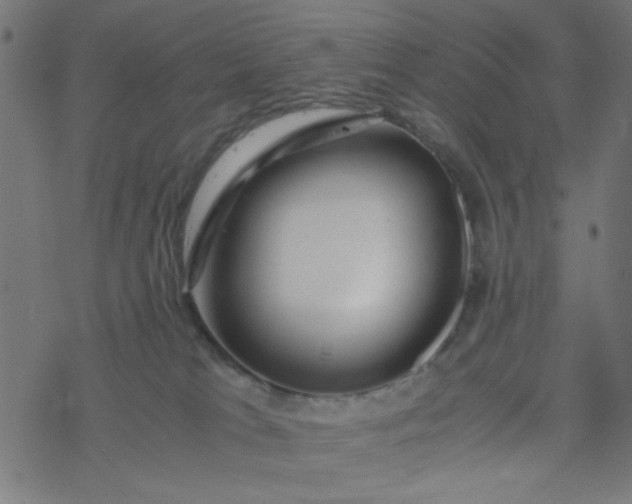 X0000077360037200611031857