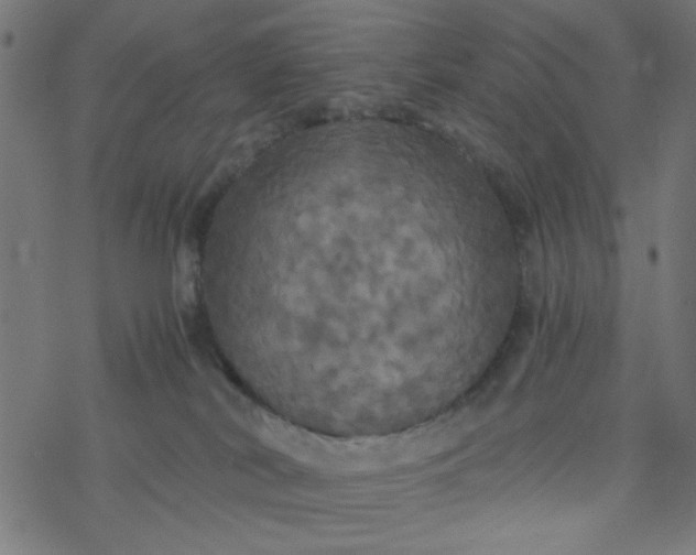 X0000077360038200611031857