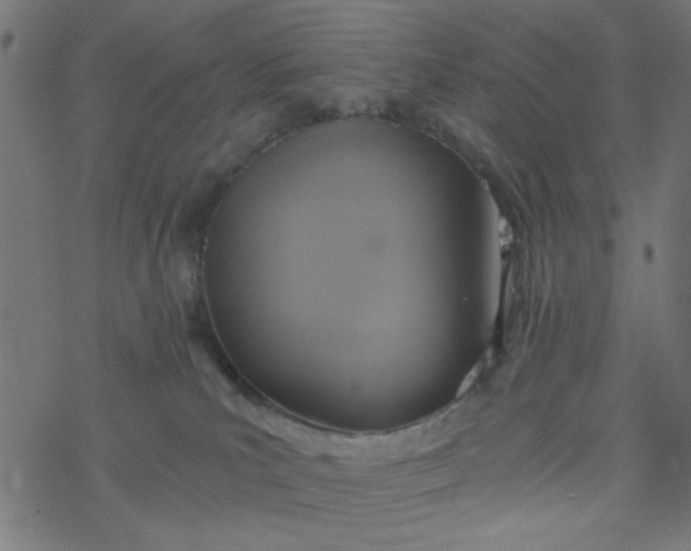 X0000077360039200611031857