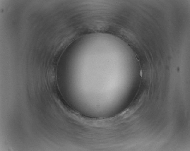 X0000077360040200611031857