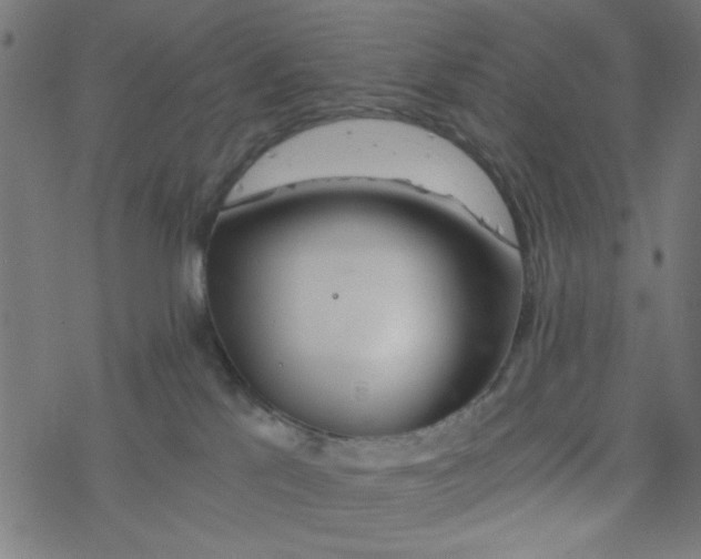 X0000077360041200611031857