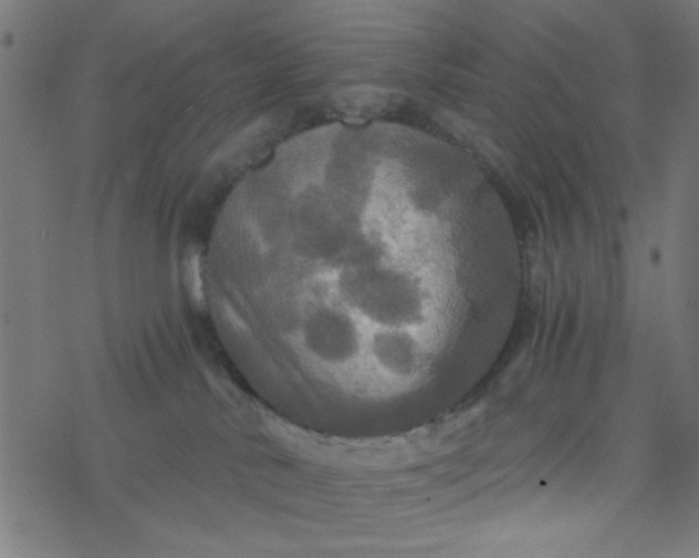 X0000077360042200611031857