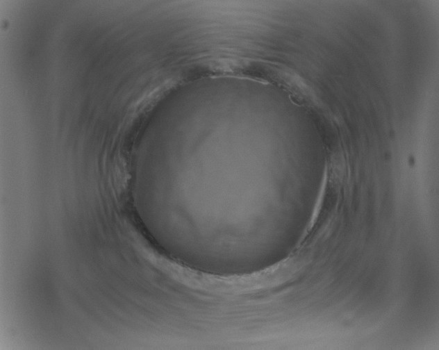 X0000077360043200611031857