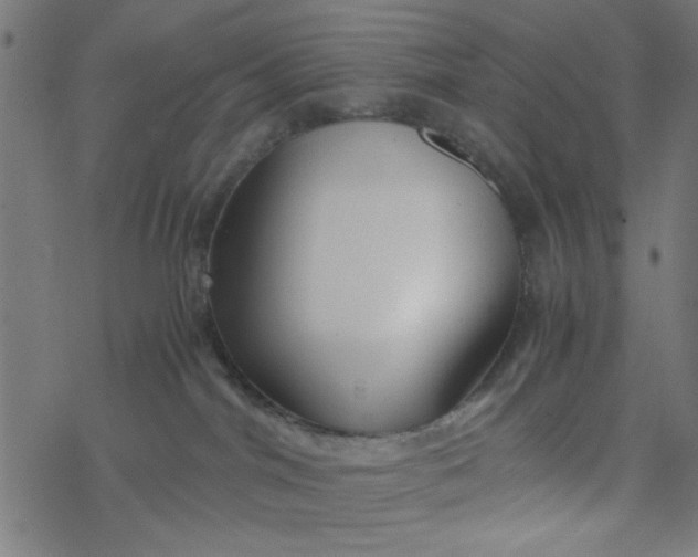 X0000077360044200611031857