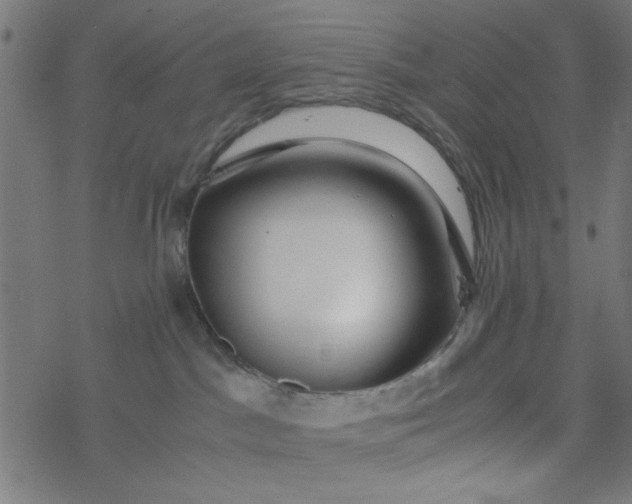 X0000077360045200611031857