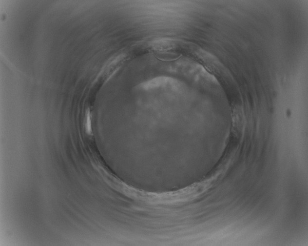 X0000077360046200611031857