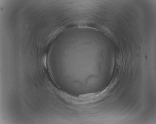 X0000077360047200611031857