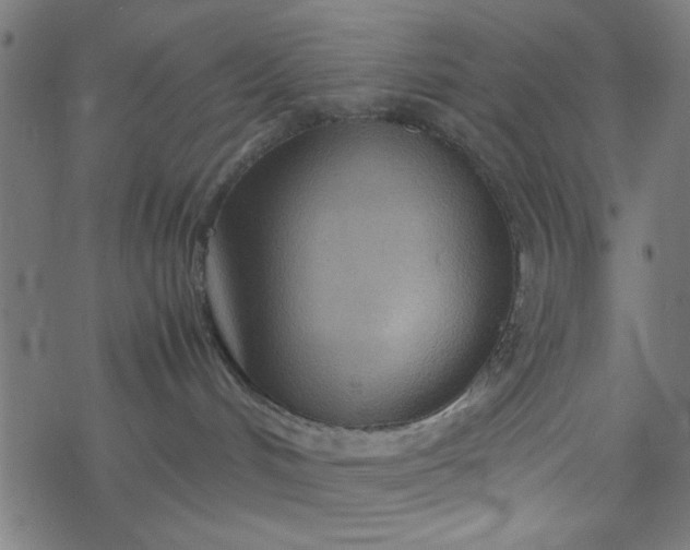 X0000077360048200611031857