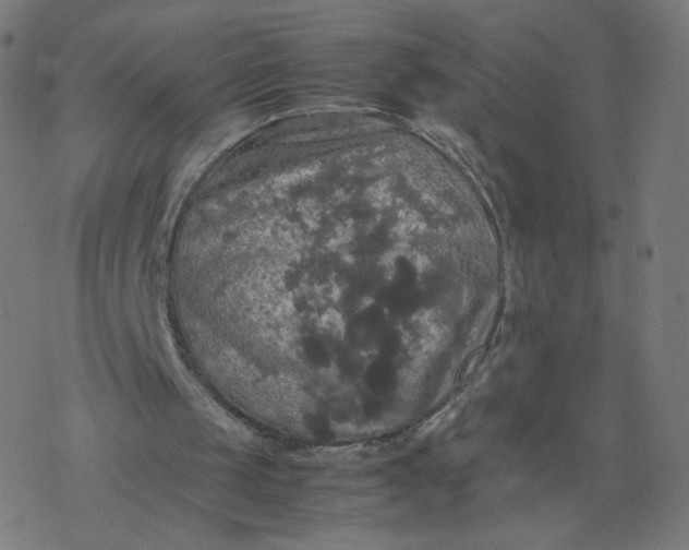 X0000077360049200611031856