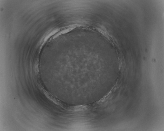 X0000077360050200611031856