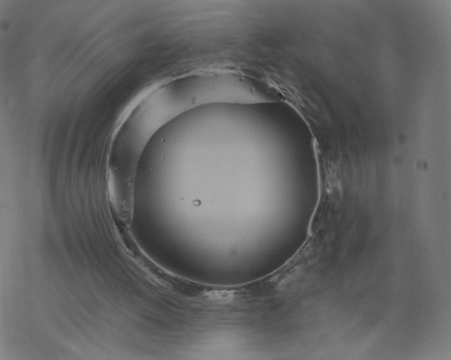 X0000077360052200611031856