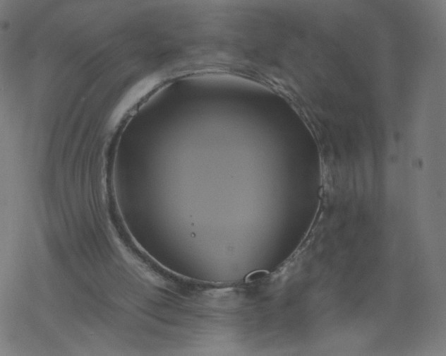 X0000077360054200611031856