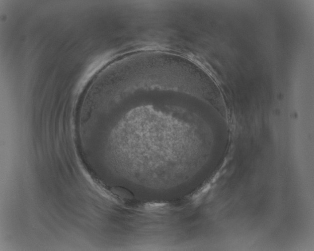 X0000077360055200611031856