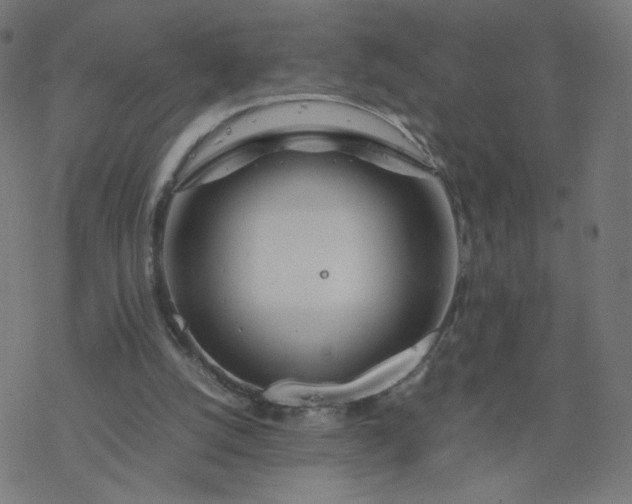 X0000077360056200611031856