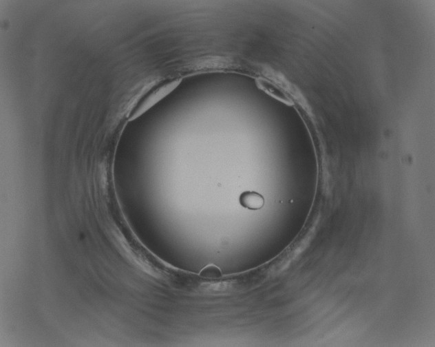 X0000077360057200611031856