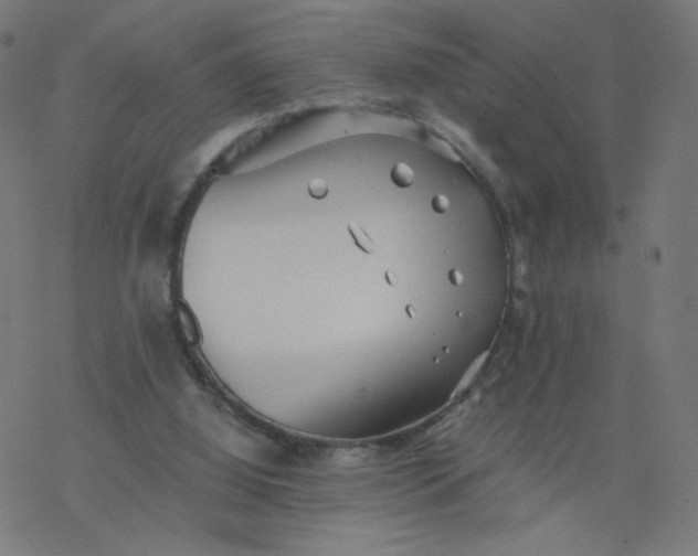 X0000077360060200611031856