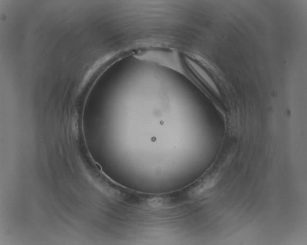 X0000077360064200611031856