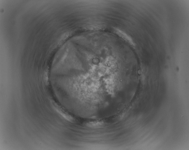 X0000077360065200611031856