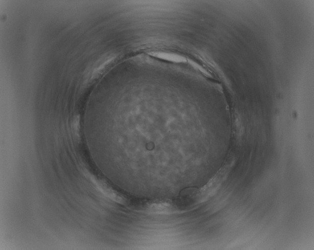 X0000077360066200611031856