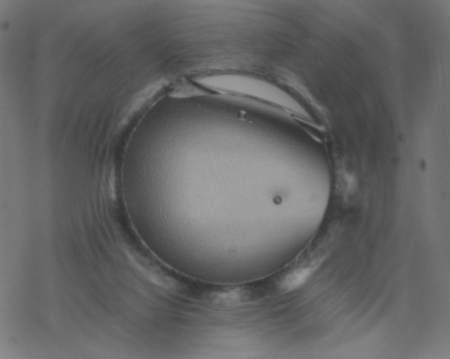 X0000077360068200611031856