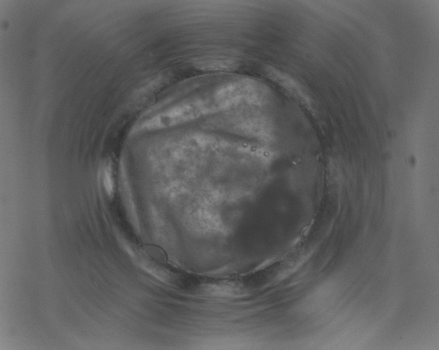 X0000077360069200611031856