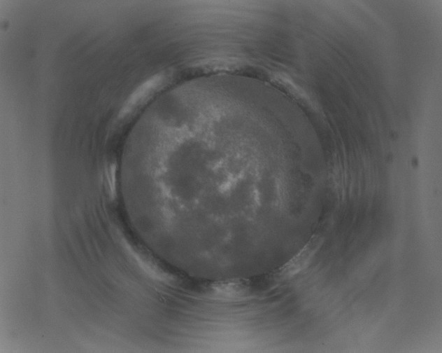 X0000077360070200611031857