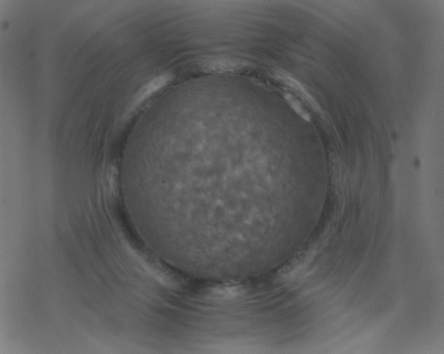 X0000077360071200611031857