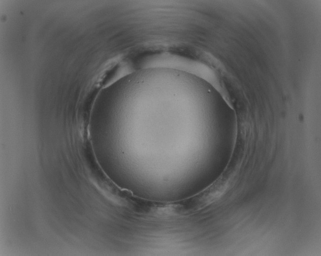 X0000077360072200611031857