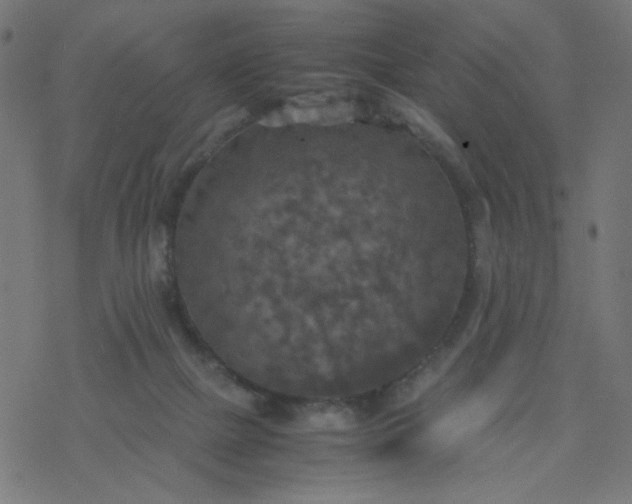 X0000077360073200611031857