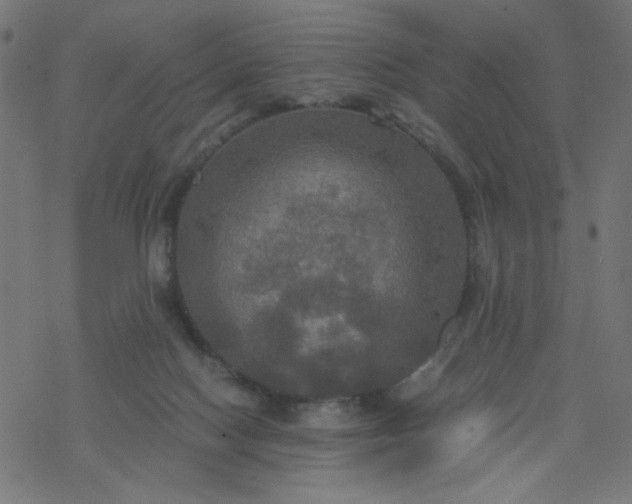 X0000077360074200611031857