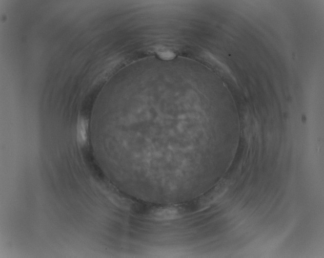 X0000077360075200611031857