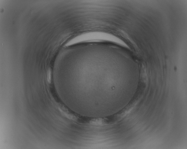 X0000077360076200611031857