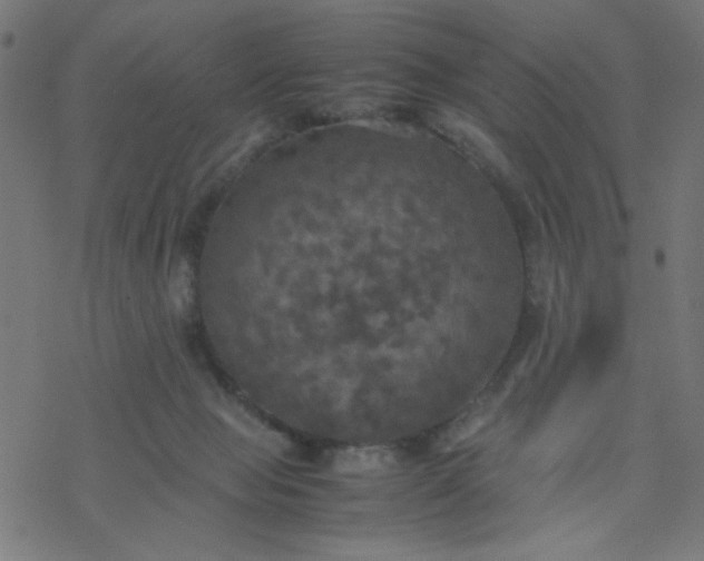 X0000077360077200611031857