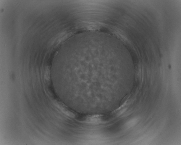 X0000077360078200611031857