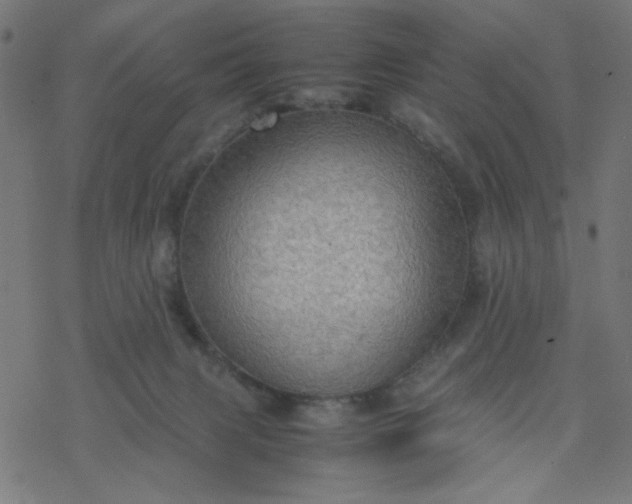 X0000077360079200611031857