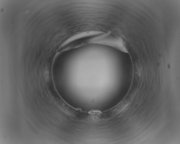 X0000077360080200611031857