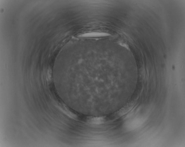 X0000077360081200611031857