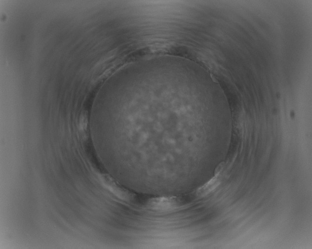 X0000077360082200611031857