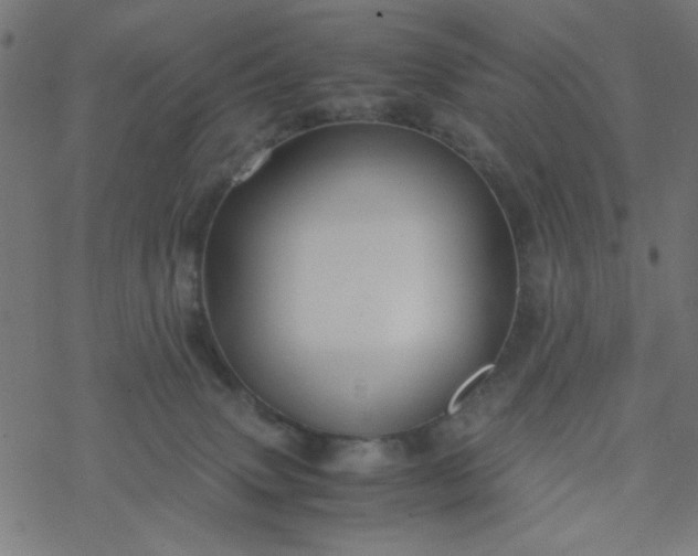 X0000077360083200611031857