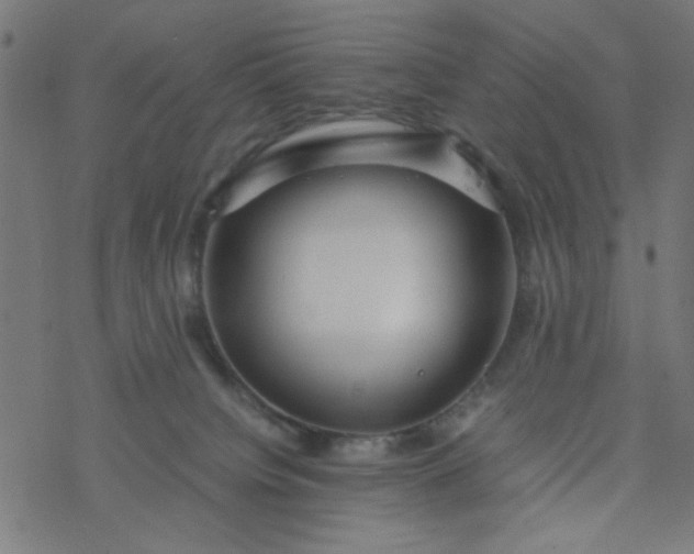 X0000077360084200611031857