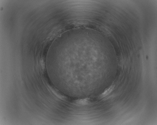 X0000077360086200611031857