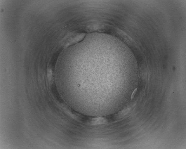 X0000077360087200611031857