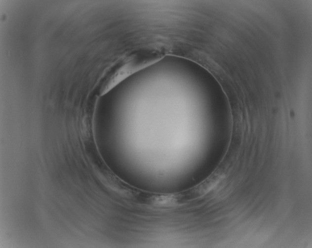 X0000077360088200611031857