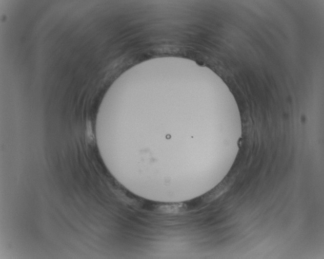 X0000077360089200611031857